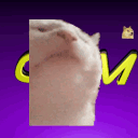 ♫⌈GDM⌋®