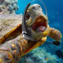 The Deep Sea