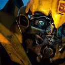 Bumblebee