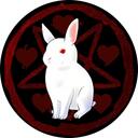  The WhiteRabbitKingdom   Discord Server Icon
