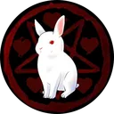 🐇The WhiteRabbitKingdom🐇