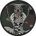 Cobra Intervention Team