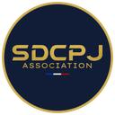 Studios DCPJ Discord Server Icon