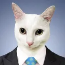 Deadcat TV