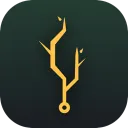 Digital Grove