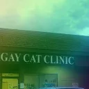back to the cat again (ho mo)