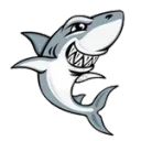 The Legacy of Sharks