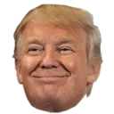 The Wall