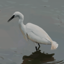 Kontabi Familia Discord server icon