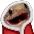 The amphibian butt slap emporium