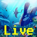 Pichubro Studios Live