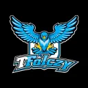TFalczy Nest
