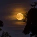 eqυıиох Discord Server Icon