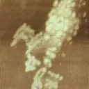 すぱきん