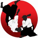 Aikido Discussion