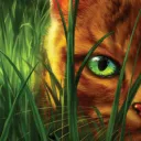 Warrior Cats
