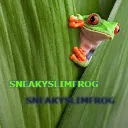 SneakySlimFrogStudios