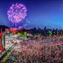 Electric Forest Fam