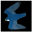 Falcons Ledge