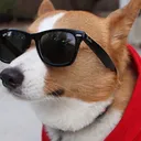 Kawaii-Doggu