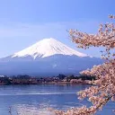 Fuji Translation