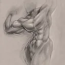 Muscle Academy