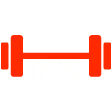 iChiryu et mini Lyon
