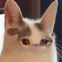 *Kiivishos*