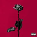 Dead Roses