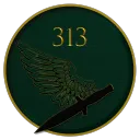 313