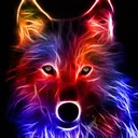 natevang fan chat