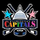 Washington Capitals icon