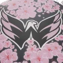 Washington Capitals