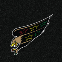 Discovery icon for Washington Capitals Discord server