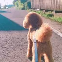 作業通話