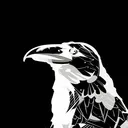 The Ravens Lair