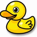 The Duck Pond