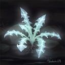 The Spirit of Nirn Discord Server Icon