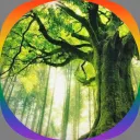 The Tree (18+ Only)