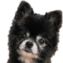 Renee's Town of Pixel