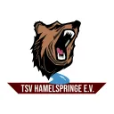 TSV Hamelspringe eSport