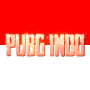 PUBG INDO icon