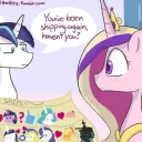MLP Shipcord