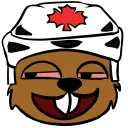 The Beaver Den