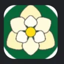MPG: Mississippi Pokémon Go, A Silph League Community