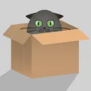 Cute Kovch Box
