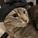 meowting (rivers smp)