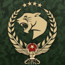 Discovery icon for PARS Turkish Armed Forces Discord server