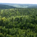 County of Rastlös Odjur