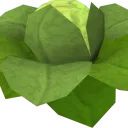 The Savage Cabbages